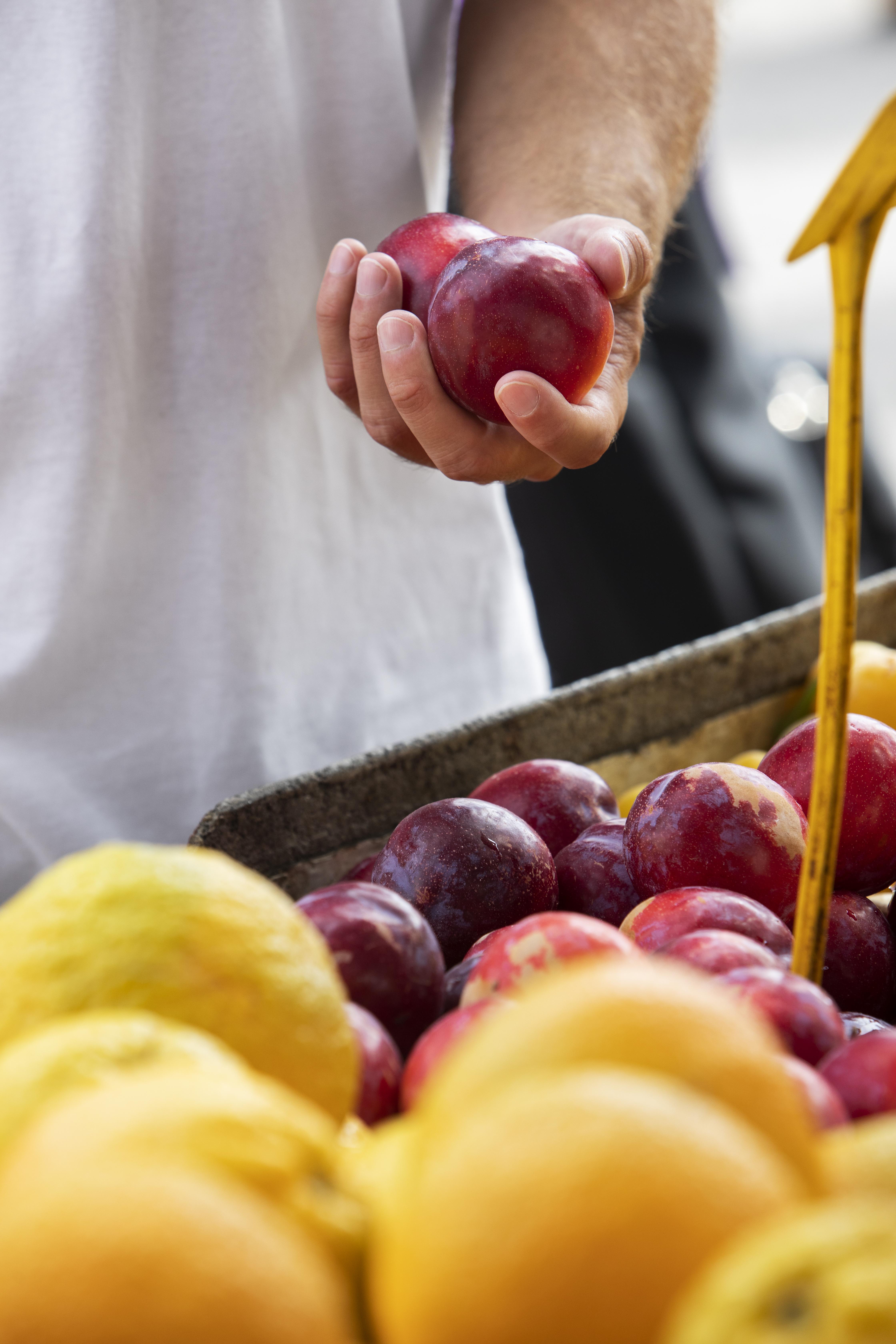 Servicio para Oficinas